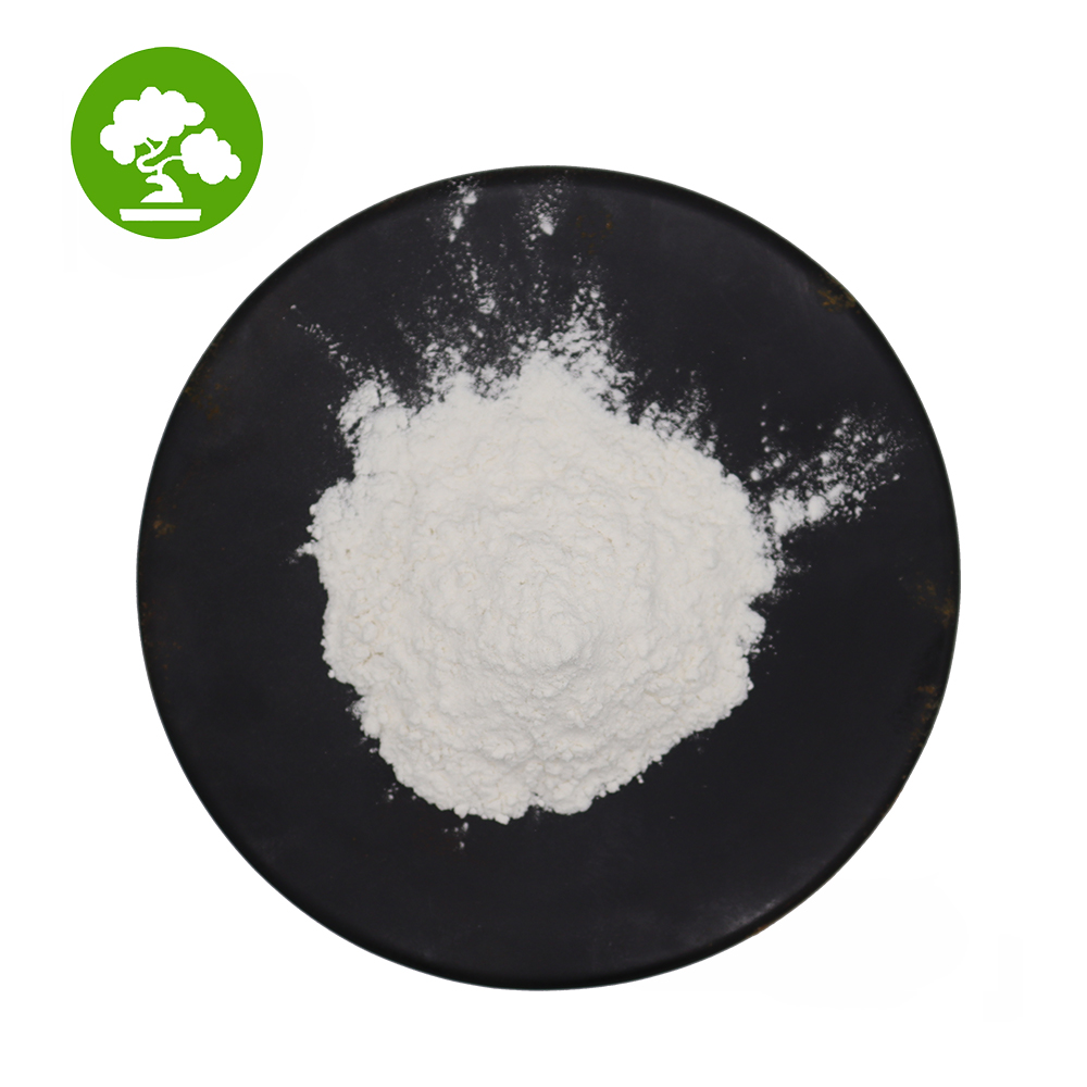 Поставка от производителя, порошковый пищевой порошок Lactobacillus Plantarum