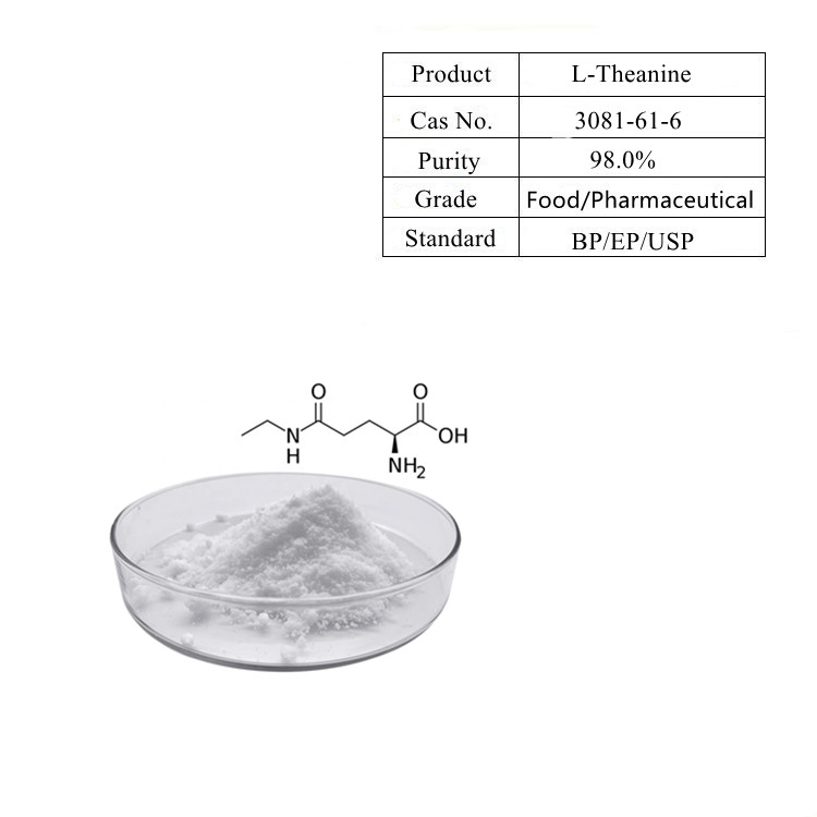 Anti oxidant Green Tea Extract L-theanine CAS 3081-61-6 l theanine Powder Free Samples