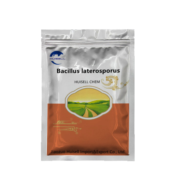 Agricultural fertilizer/Planting/Soil Probiotics Powder Bacillus Laterosporus