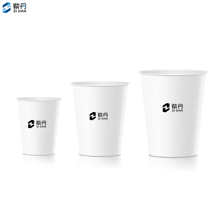 Custom Design Eco-Friendly Hot Drinking Paper Coffee Cups