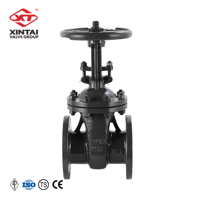 High-quality products GOST Gate valve Z41H-16C Reduced diameter DN100