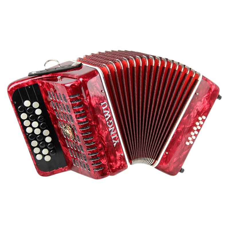 25-key 12BS Children's Adult Beginner Musical Instrument Red B/C System YINGWU Accordion