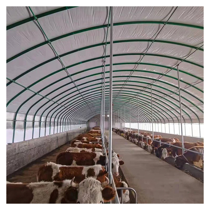Low Cost Cowshed Prefab Steel Cow Farm Building Plastic Dairy Shed Cow House Construction