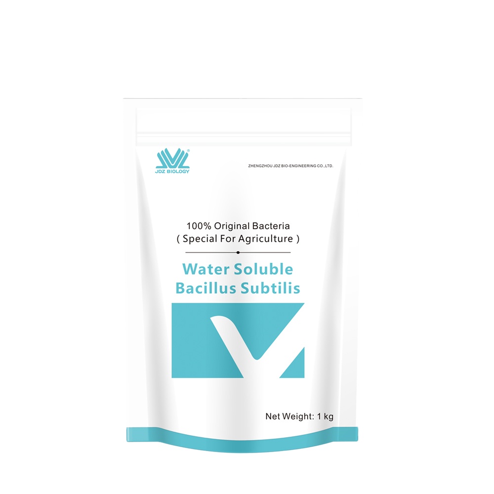 The Best Professional and Durable Long Service Life Water Soluble Bacillus Subtilis Aquaculture Water Treatment