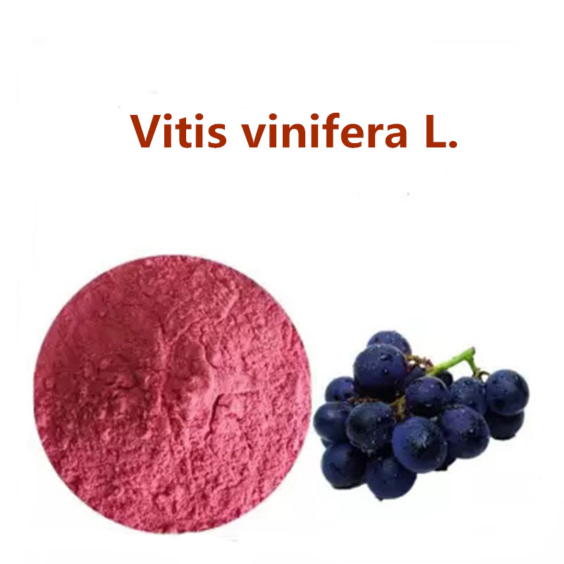 100% Natural Grape Extract Proanthocyanidin Vitis vinifera L. VVL002