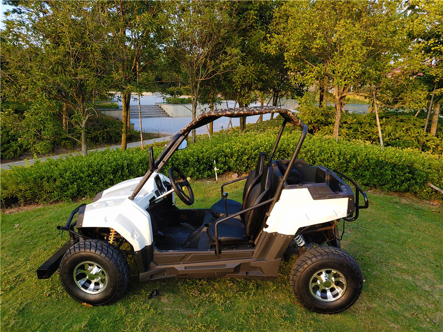 72v 7.5kw 60v 5kw 4kw 48v 400cc 4*4 3kw 3000 Вт 3.5kw 2000 Вт 2-набор дёшево 1500 Вт Электрический Efi E Utv