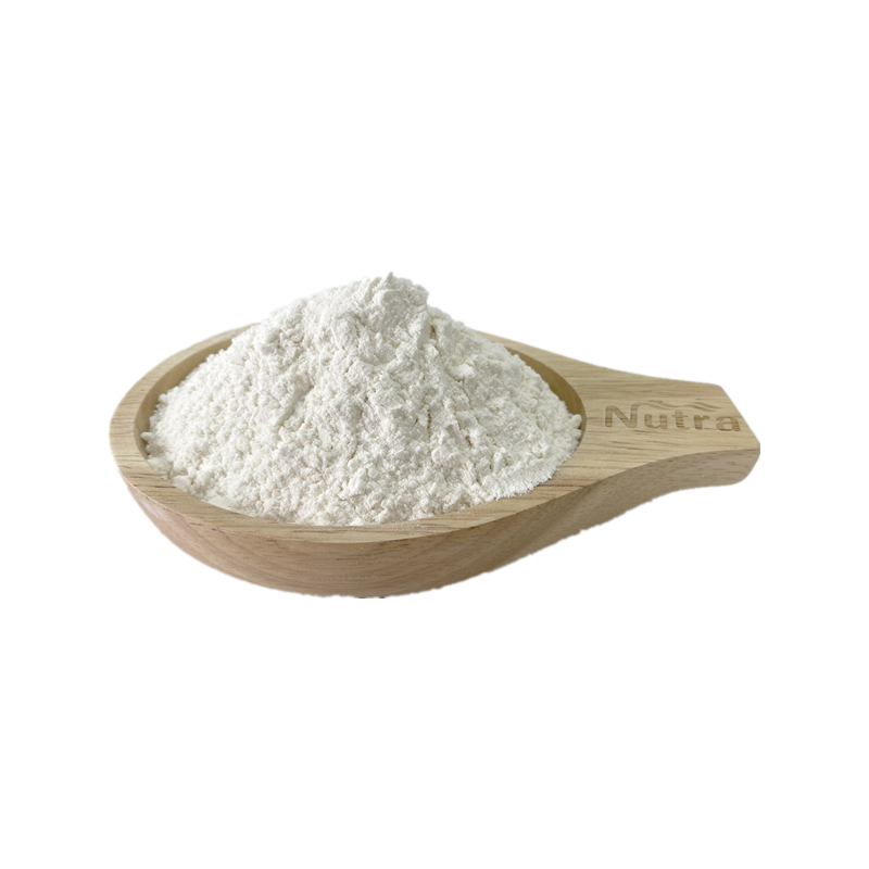 wholesale sports nutrition Organic certificated rice protein powder health supplyment