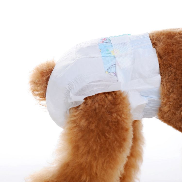 Labrador Retriever Puppy Disposable Pet Floor Female Adjustable Doggie Dog Extra Large Period Diaper Wetness Indicator