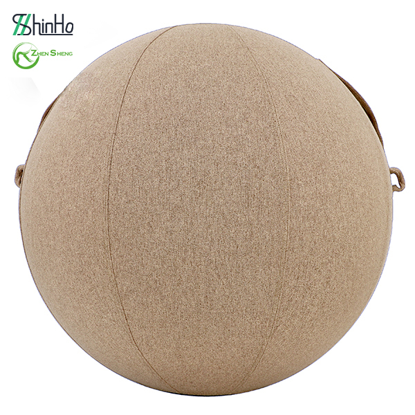 Zhensheng Parent child Interaction Yoga Ball Protective Cover Sitting Ball Chair