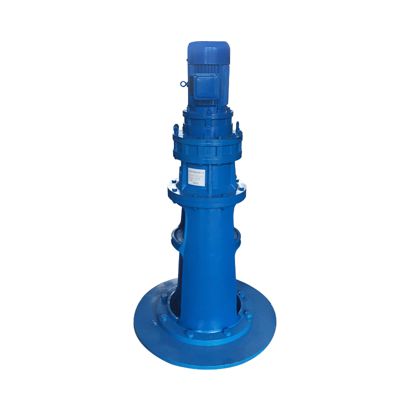 Vertical reducer BLD cycloid reducer for mixer agitator equipment