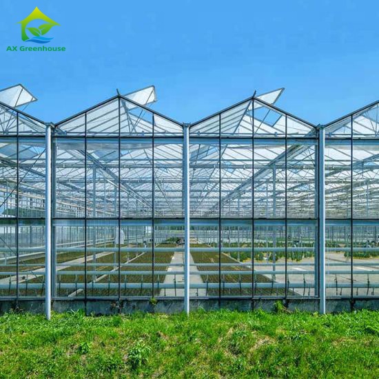 Современная теплица venlo из поликарбоната стеклянная сельскохозяйственная многопролетная Коммерческая листовая теплица из ПК поставка теплицы общая система