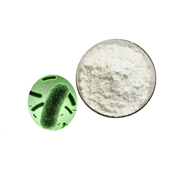 Food Supplement bifidobacterium lactis (bb-12) probiotics powder
