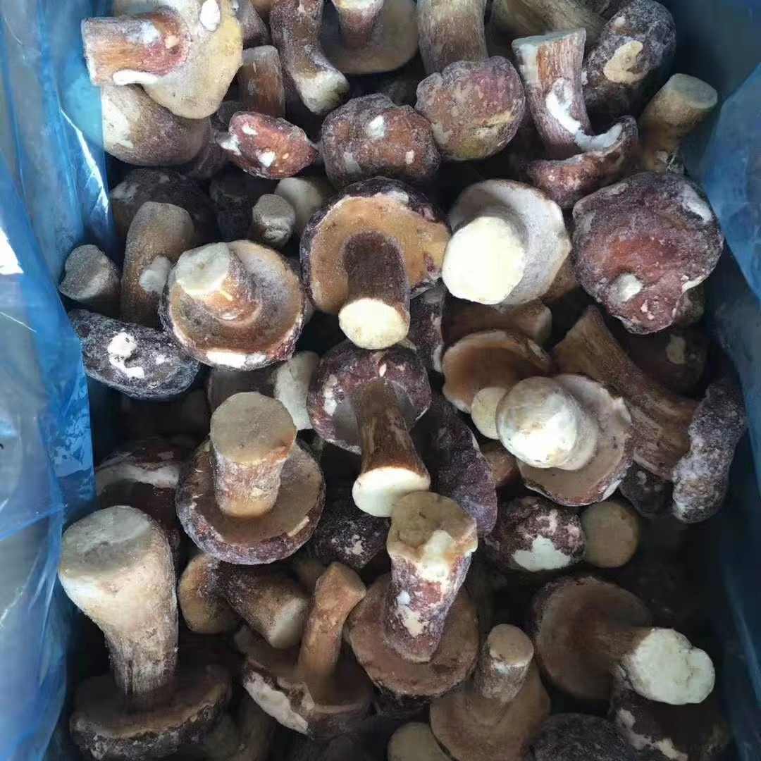 IQF Frozen Boletus Edulis Of Price