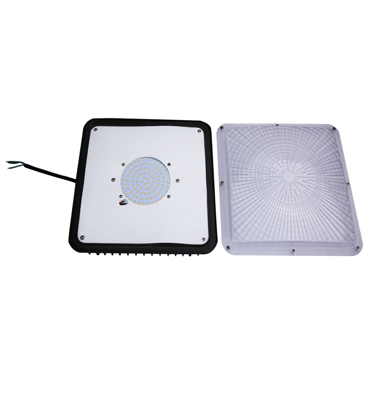 Hot Sales 40w - 120W IP65 waterproof 5000K neutral white motion sensor led canopy light