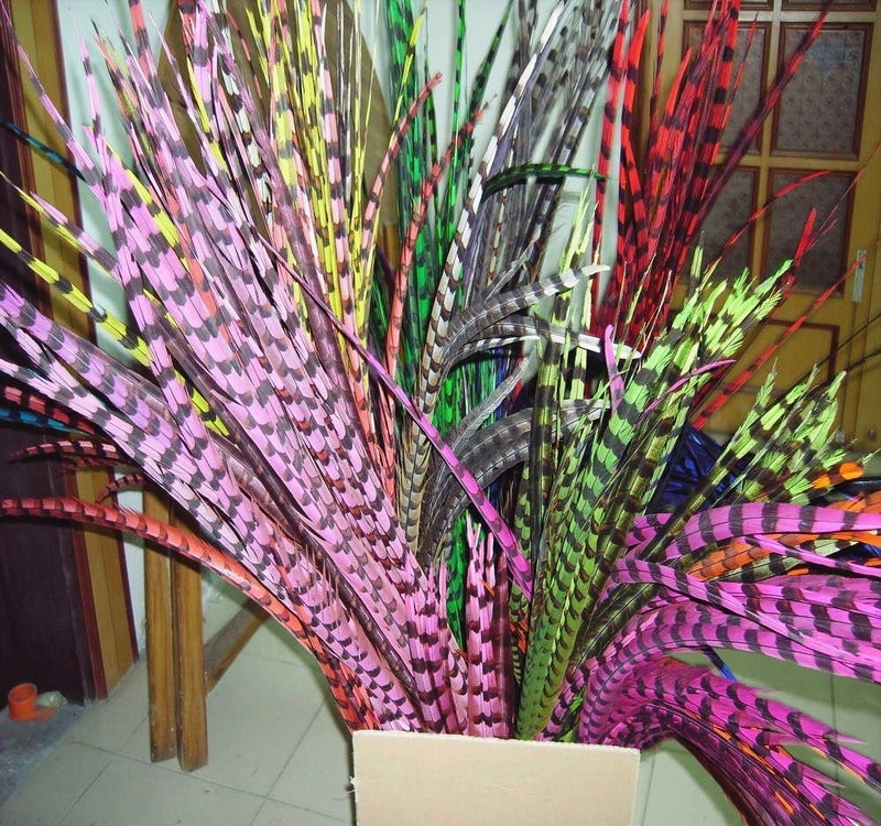 Перо фазаньского хвоста 45-50 дюймов (110-120 см)