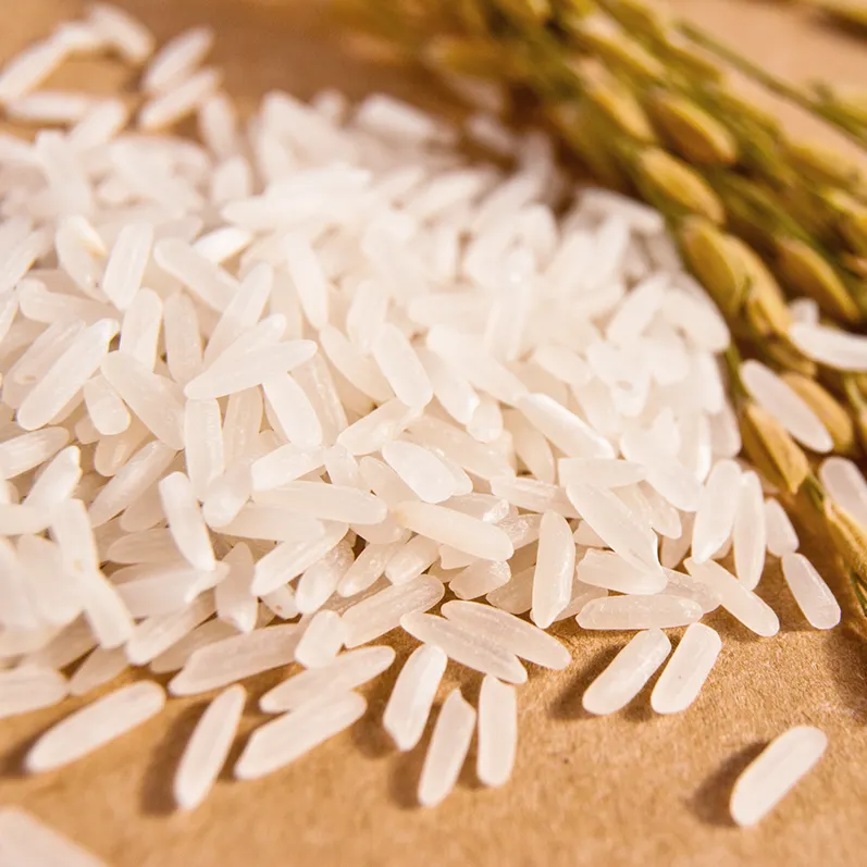 Wholesale Long Grain Rice Chinese Rice From Gaishi