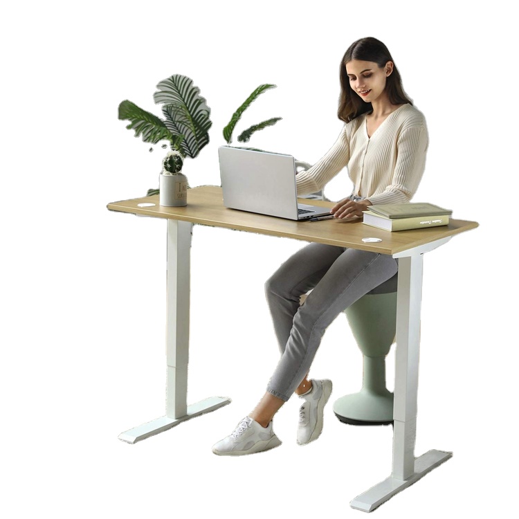 Height Adjustable Sit Standing Motorized Single Dual Motor Foldable Electric Computer Stand Up Desk