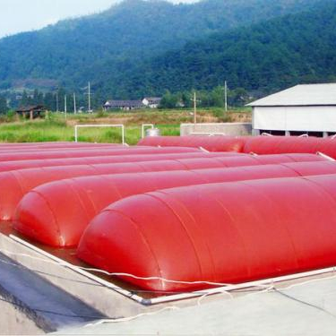200m3 PVC Biogas digester bag for Pig farm