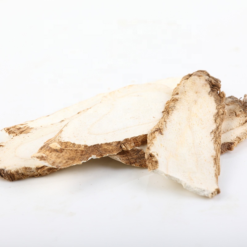 High Quality Angelica Root BAIZHI