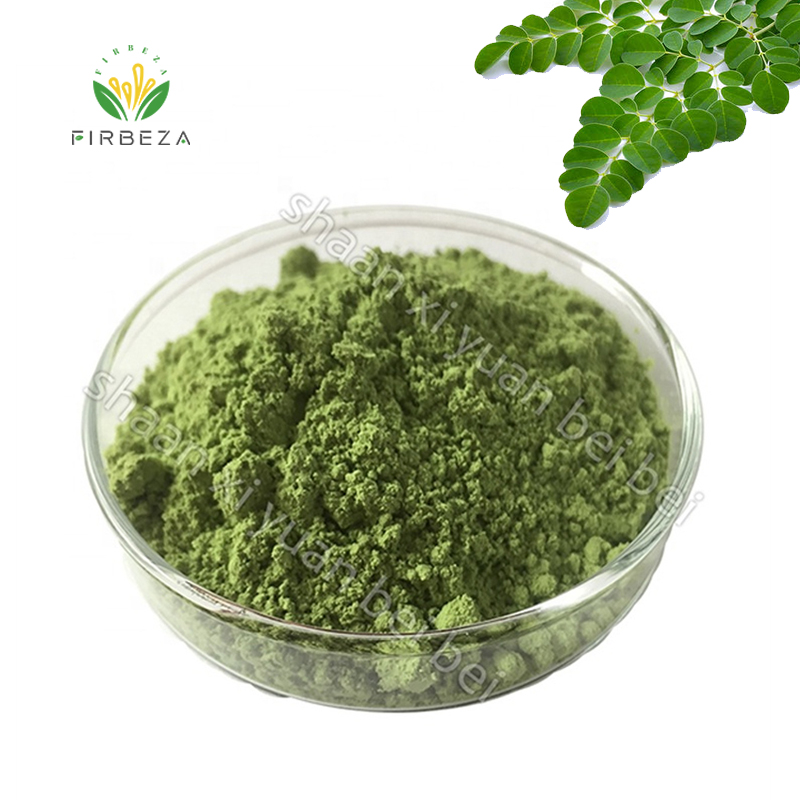 Wholesale Price Pure Natural Organic Bulk Moringa Oleifera Leaf Extract Powder For Sale