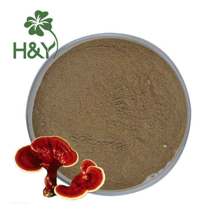 Усилитель иммунитета reishi порошок reishi грибной экстракт ганодермы lucidum капсулы