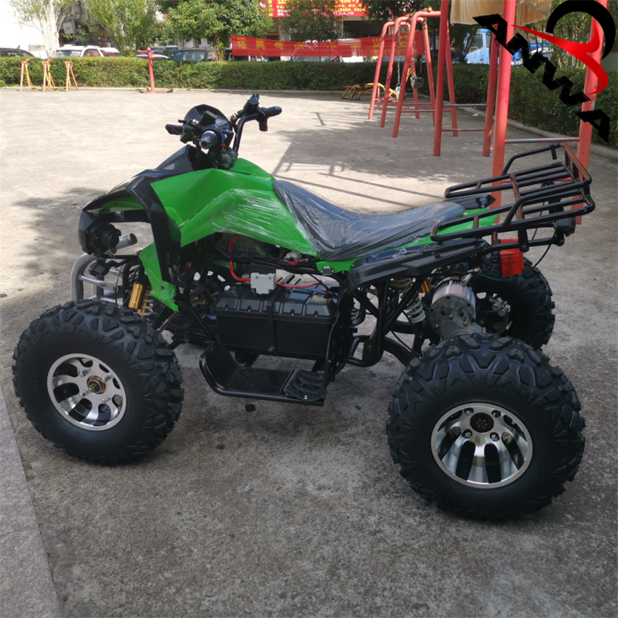 China Cheap 3000w Electric ATV Quad 4 wheeler Quad Bike for Adults ATV