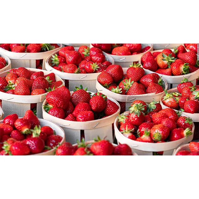 Premium Quality New Season Fresh Strawberries For Sale 2022  Products Wholesale Fresh Strawberries Fruit For Sale