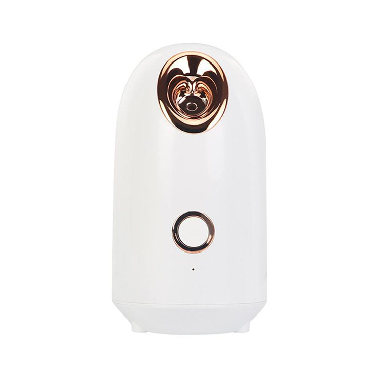 2021 wholesale portable professional nano benign facial steamer spa