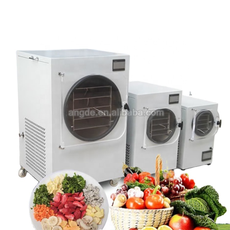 Factory direct high-quality freeze dryer lyophilizer / Mini Freeze Drying Machine