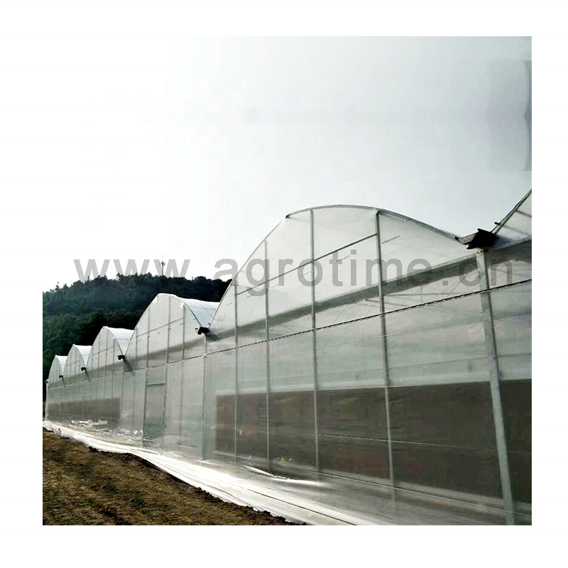 agricultural production multi-span greenhouse Customized greenhouse for sale