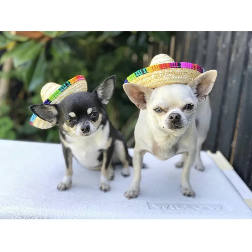 Mini Straw Hat Summer Cute Pet Sombrero Hat Mexican Decorative Party Hat Cat Dog Small Pets
