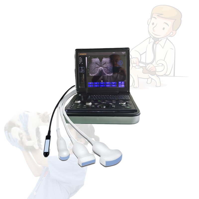 veterinary Ophthalmic Optical equipment Portable ultrasound devices