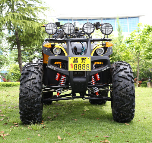 Горячее надувательство 250 большой бык газовый двигатель ATV Quad велосипед/детскй 4-колесный для взрослых