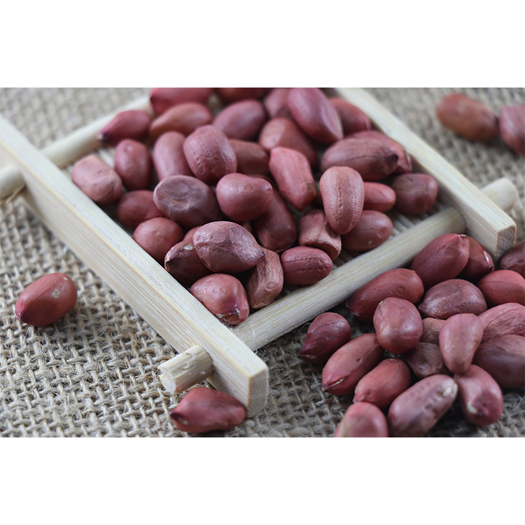 Proper Price Top Quality Wholesale Premium Cheapest Chinese Peanut Red Skin