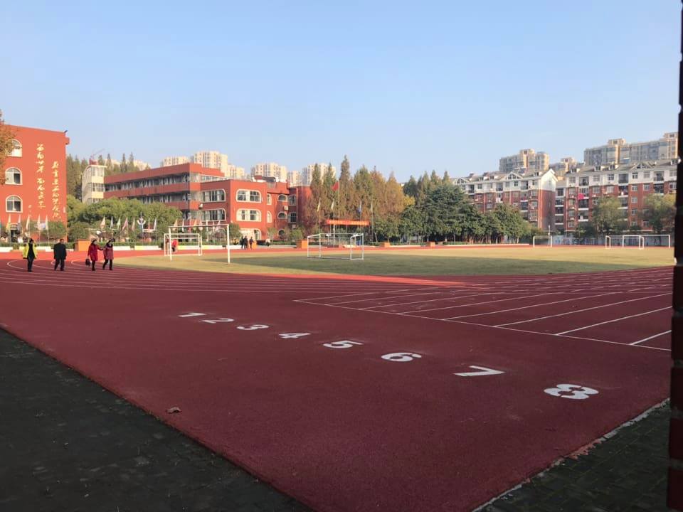 Mixing machine/Mixer for epdm granules and PU binder SBR granules rubber granules for playground, running track