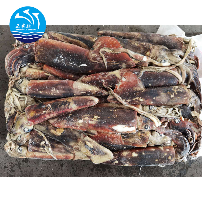 Замороженные тушки круглая Illex кальмар кальмары кальмар