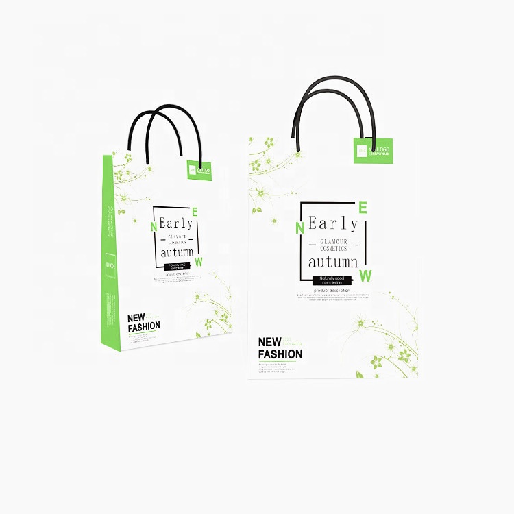 High Quality Art Paper Shopping Gift Bag for Advertising Clothing Company with Logo Print