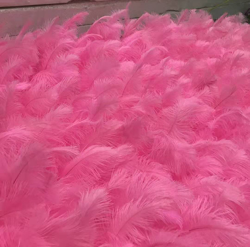 Dyed large pavorreal wedding hat making diy home decoration feather wall ostrich feathers f