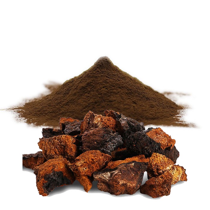 Preferential price food grade natural chaga mushroom powder