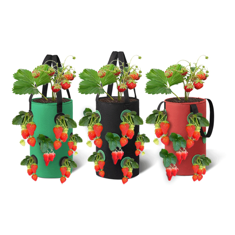 Factory wholesale custom 5 7 10 Gallon breathable thicken heavy duty multi mouth strawberry plant with handle for tree vegetable