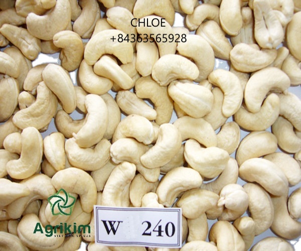 Exported Organic Cashew Kernel WW240 Best Price From Vietnam