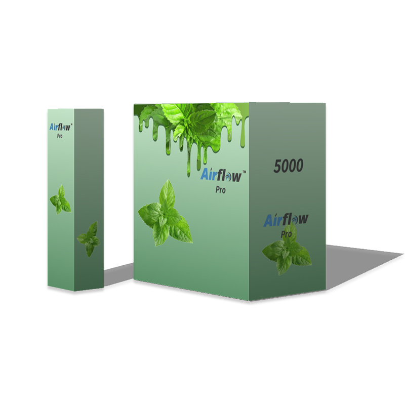 5000 Puffs Disposable Electronic Cigarette Electric Cigarette Vape Cigarette Filters