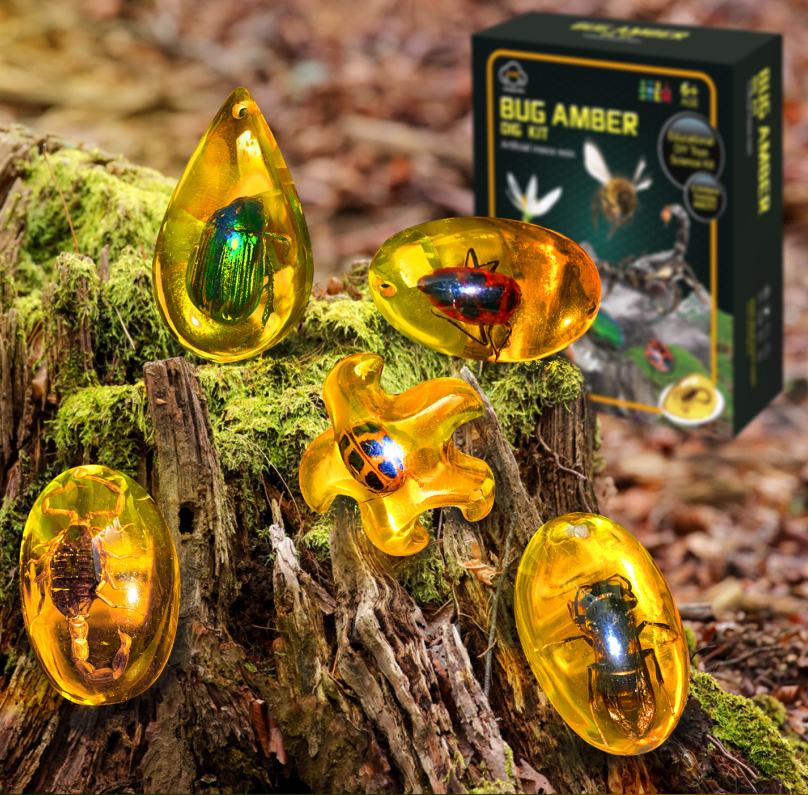 Science Kits STEM Amber Dig Kits Experiments Bug Amber Educational Toys For Kids