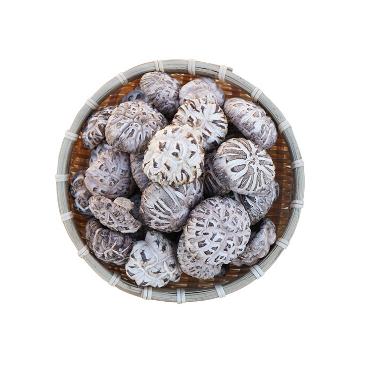 Dried Shiitake Mushroom Good Price Hifg Quality Edible Shiitake Mushrooms