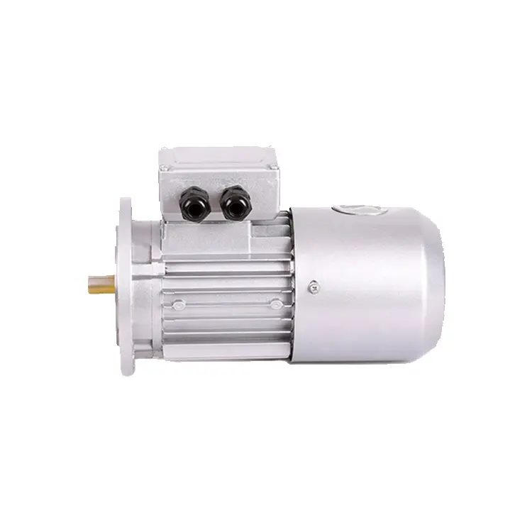 YS Series Small Power Three-phase Asynchronous AC Motor For Color Packing Machinery