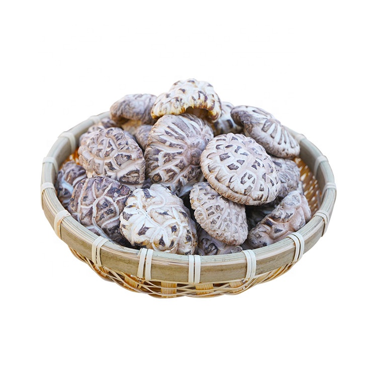 dry mushroom dry shiitake mushroom flower mushroom