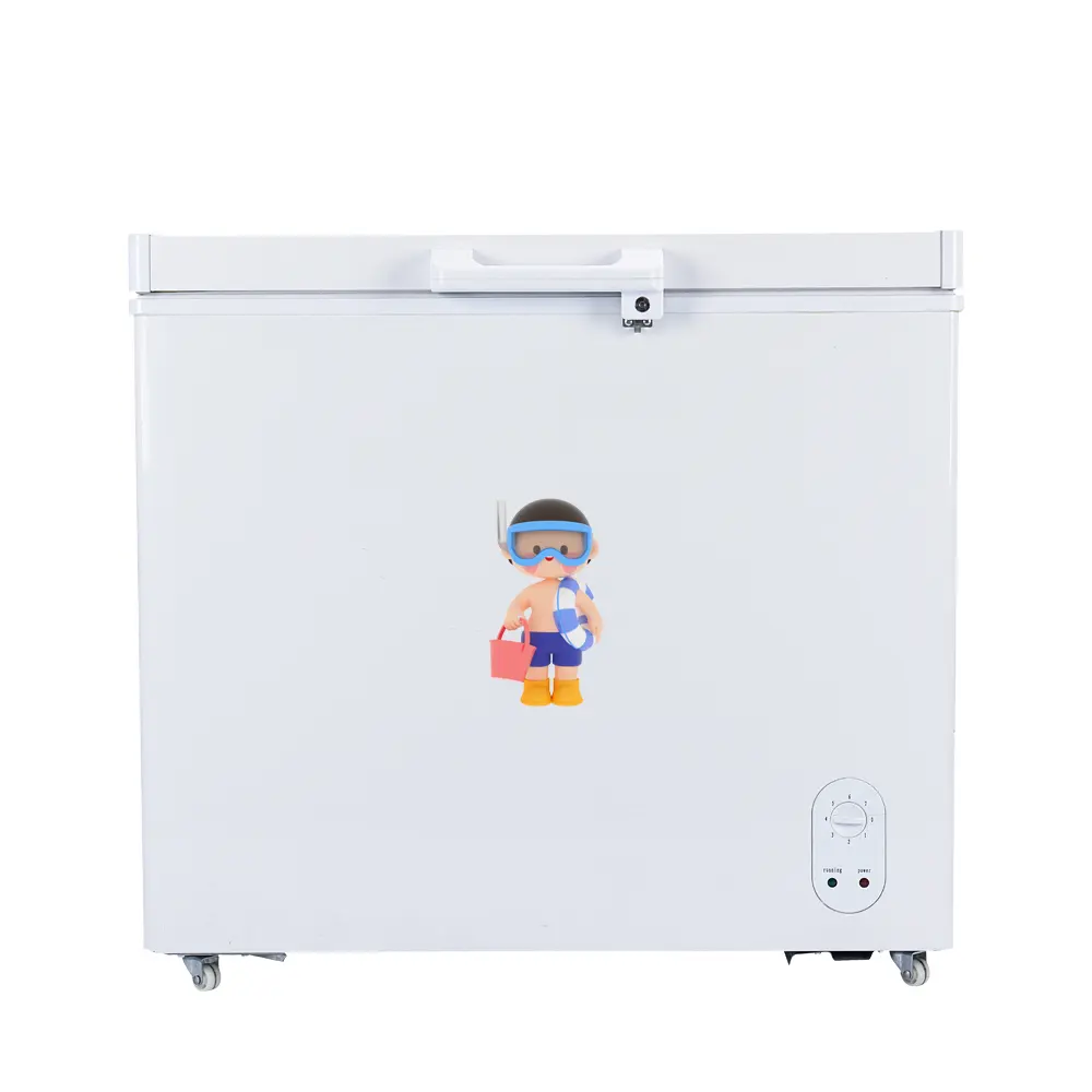 Factory Supply 288L Small Chest Freezer Commercial/Home/Restaurant Use Freezer Single-Temperature solar system