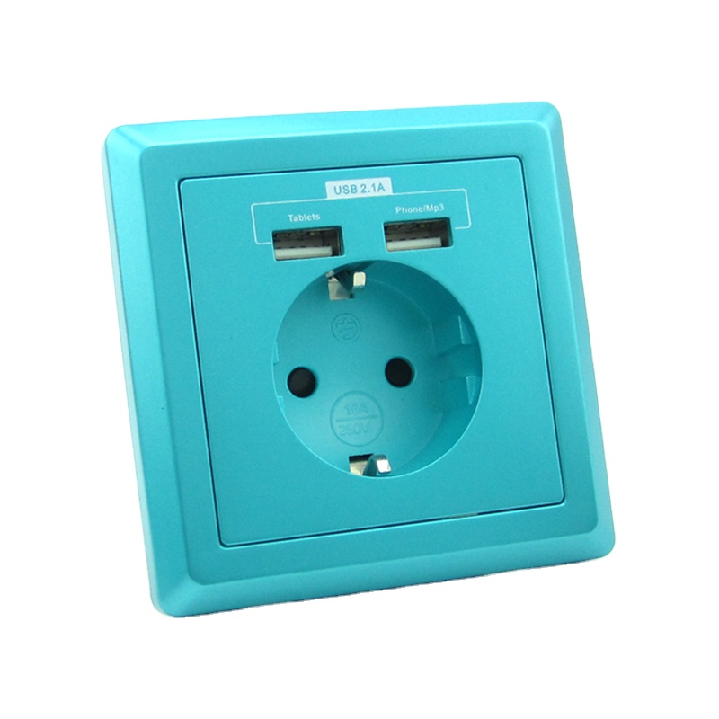 Leishen Usb 2.4a зарядное устройство с 2 Usb портами 1 Gang евро стены Tuya розетка Универсальная штепсельная бакелитовая Розетка с Usb