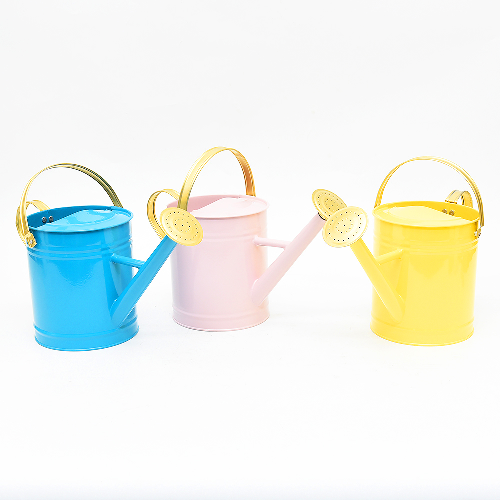 Wholesale custom new design cheap garden metal watering cans 2L water cans