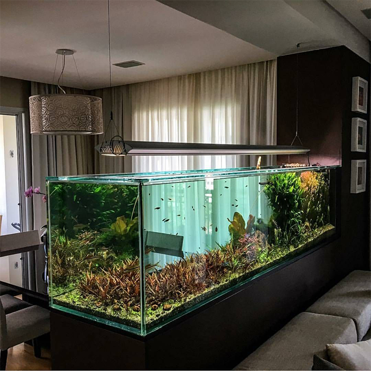 Grand Acrylique Poissons Aquarium Diviseur Fish Tank Grand Reservoir Poissons Aquarium Plexi glas Taille Moyenne #